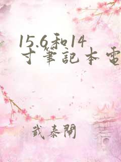 15.6和14寸笔记本电脑哪个实用