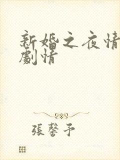 新婚之夜情景剧剧情