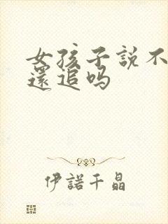 女孩子说不合适还追吗