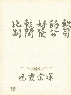 比较好的软件定制开发公司