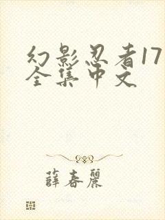 幻影忍者17季全集中文