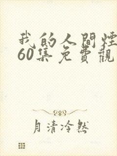 我的人间烟火第60集免费观看