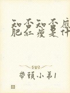 知否知否应是绿肥红瘦是什么时间