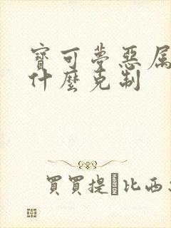 宝可梦恶属性被什么克制