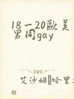 18一20欧美男同gay