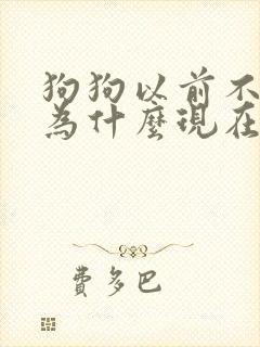 狗狗以前不乱尿为什么现在乱尿了