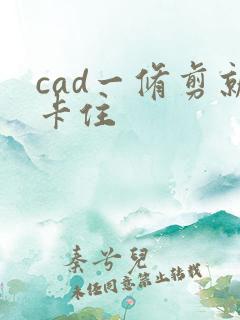 cad一修剪就卡住