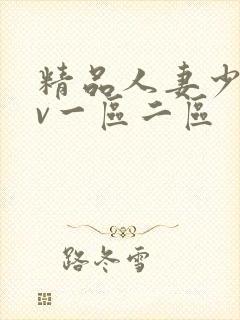 精品人妻少妇av一区二区