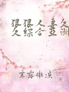 狠狠人妻久久久久综合亚洲精品