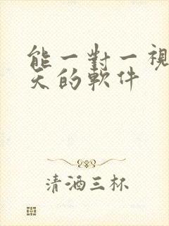 能一对一视频聊天的软件