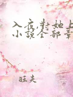 入夜,对她上瘾小说全部章节