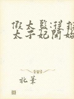 假太监:从推倒太子妃开始有声听小说