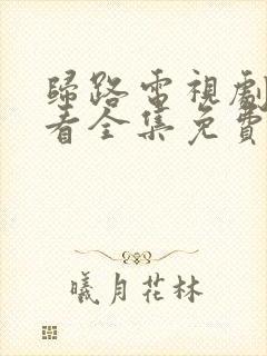 归路电视剧在线看全集免费高清