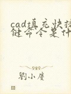 cad填充快捷键命令是什么