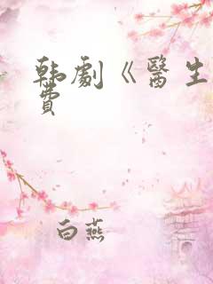 韩剧《医生》免费