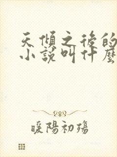 天倾之后的原著小说叫什么