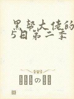黑帮大佬的365日第二季