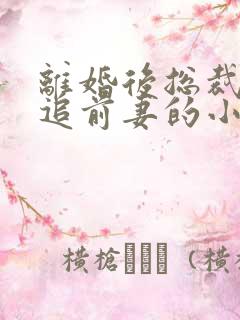 离婚后总裁前夫追前妻的小说大全