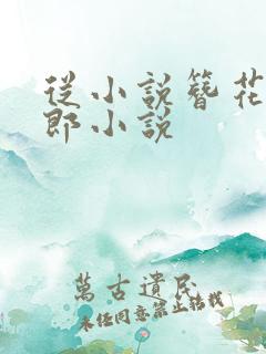 从小说簪花少年郎小说