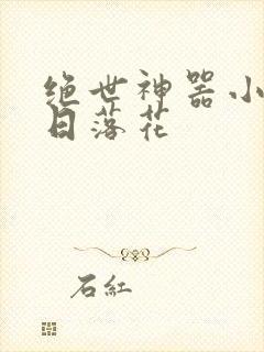 绝世神器小说明日落花