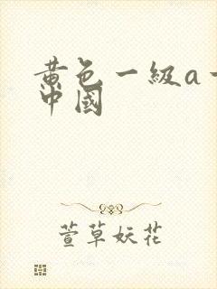 黄色一级a一片中国