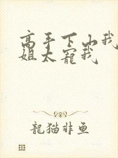 高手下山我的师姐太宠我