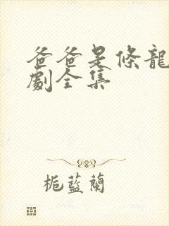 爸爸是条龙电视剧全集