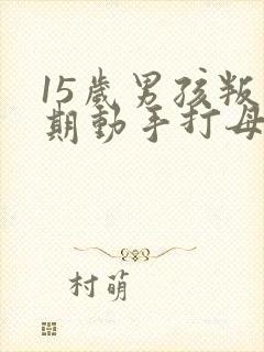 15岁男孩叛逆期动手打母亲怎么办