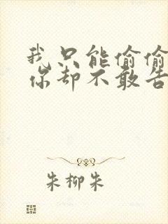 我只能偷偷的想你却不敢告诉你