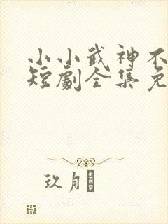 小小武神不好惹短剧全集免费