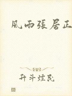 风雨张居正下载