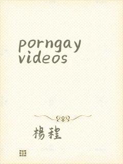porngayvideos