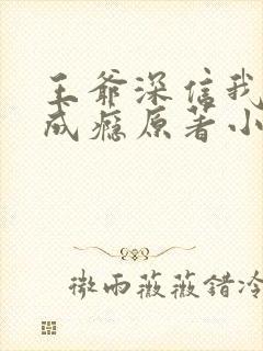 王爷深信我爱他成瘾原著小说