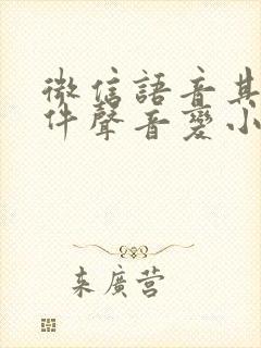 微信语音其他软件声音变小