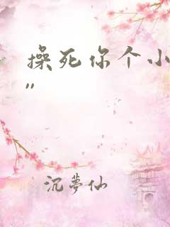 操死你个小骚货,,