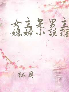女主是男主的弟媳妇小说推荐