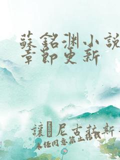 苏铭渊小说最新章节更新