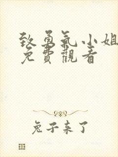 致勇气小姐短剧免费观看