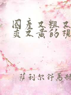 国产又粗又猛又爽又黄的视频