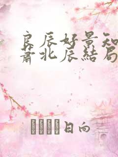 良辰好景知几何萧北辰结局