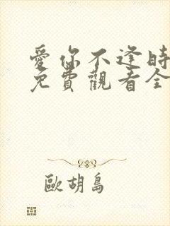 爱你不逢时短剧免费观看全集高清