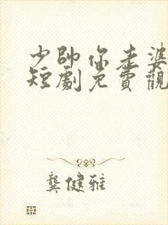 少帅你老婆跑了短剧免费观看