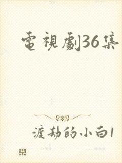 电视剧36集