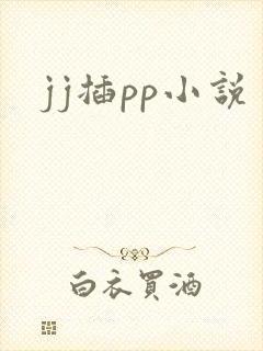 jj插pp小说
