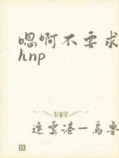 嗯啊不要求你高hnp