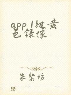 app 1级黄色录像