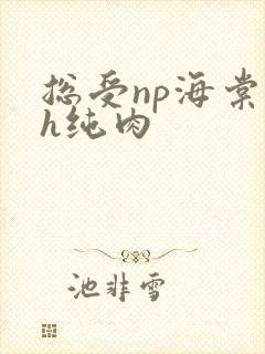 总受np海棠高h纯肉