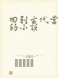 回到古代当太子的小说