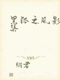 黑狐之风影第9集