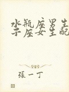 水瓶座男生和双子座女生配对指数